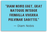 “Diam nobis eget, erat natoque integer fringilla viverra pulvinar sagittis.”
— Diam Nobis